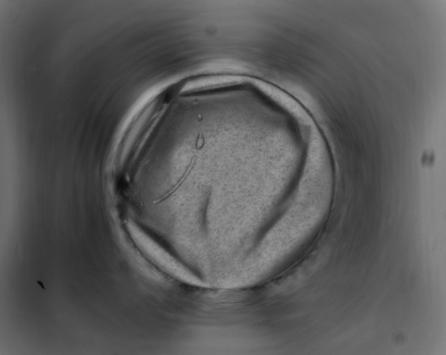 X0000102011008200808081720