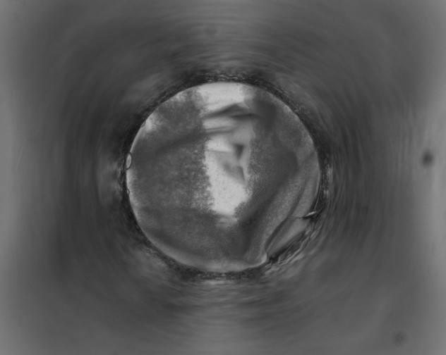 X0000102011010200808081719