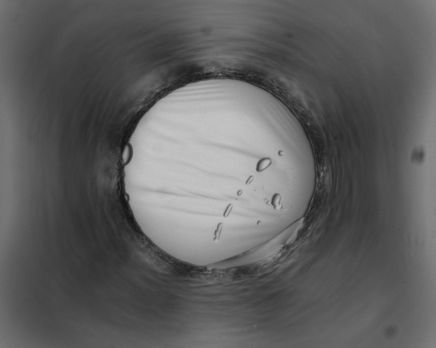 X0000102011012200808081719