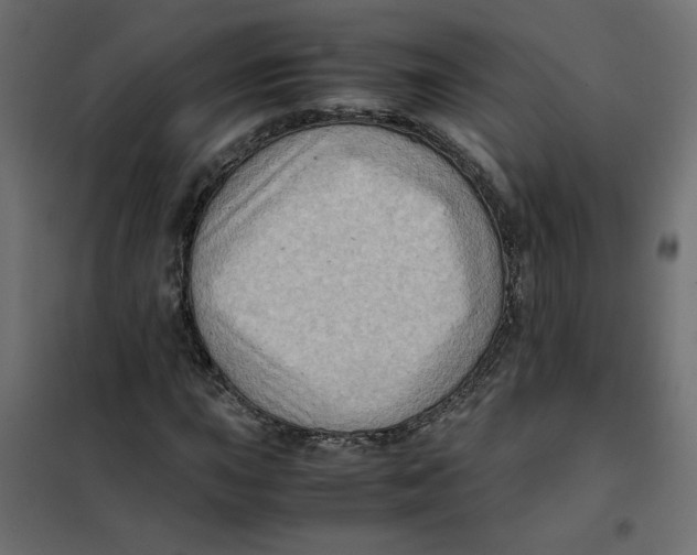 X0000102011015200808081719