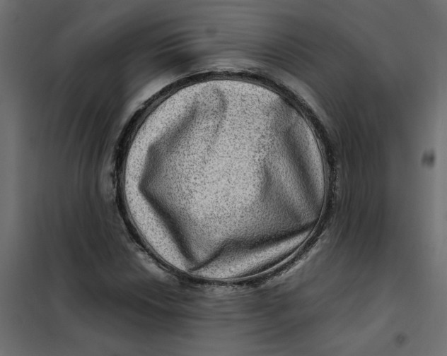 X0000102011018200808081719