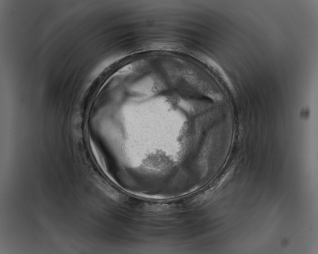 X0000102011019200808081719