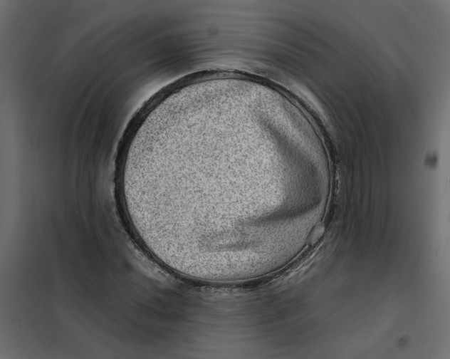 X0000102011020200808081719