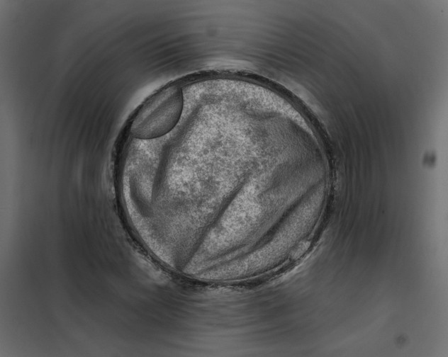 X0000102011022200808081719