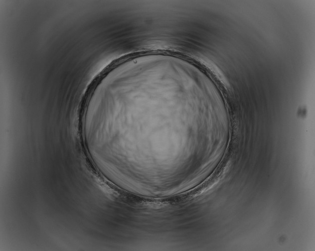 X0000102011023200808081719