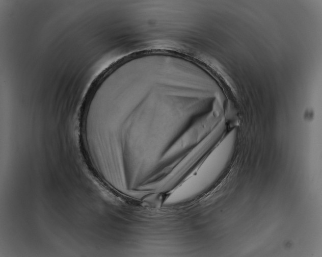 X0000102011024200808081719