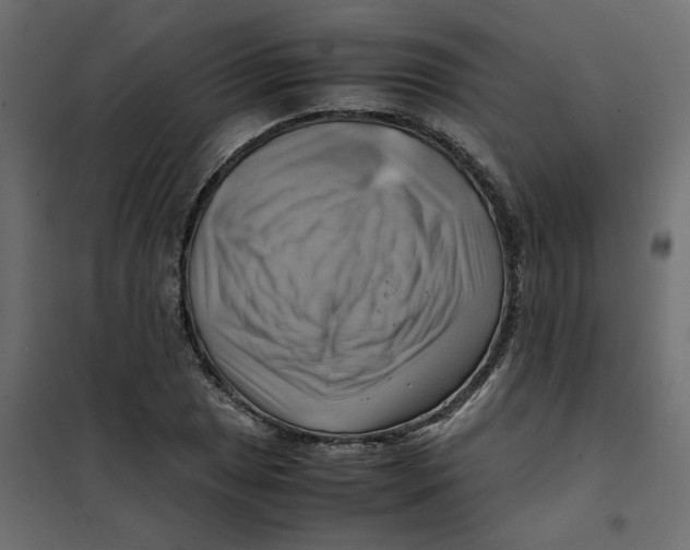 X0000102011025200808081719