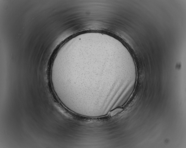 X0000102011026200808081719