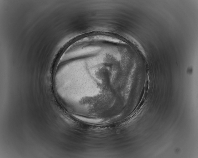 X0000102011027200808081719