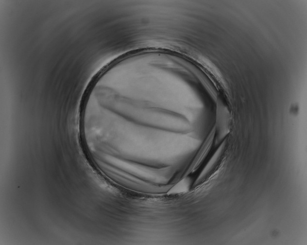 X0000102011028200808081719