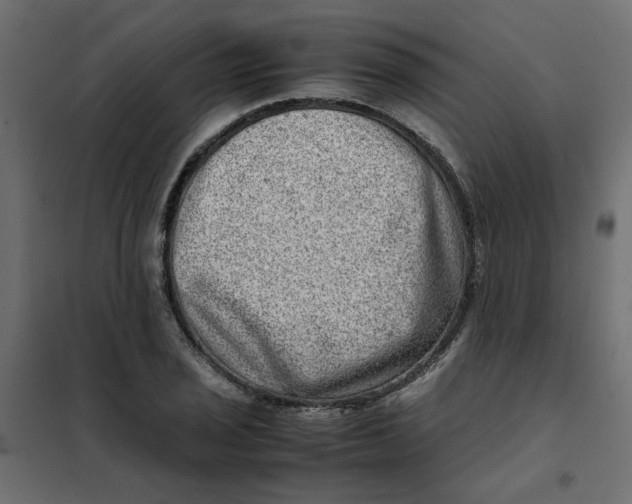 X0000102011029200808081719