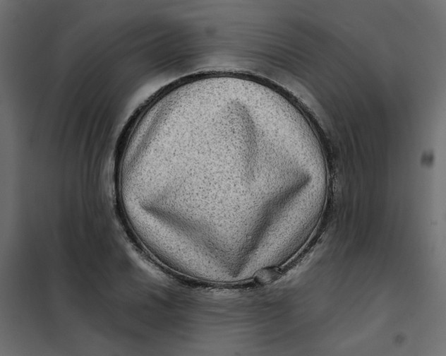 X0000102011030200808081719