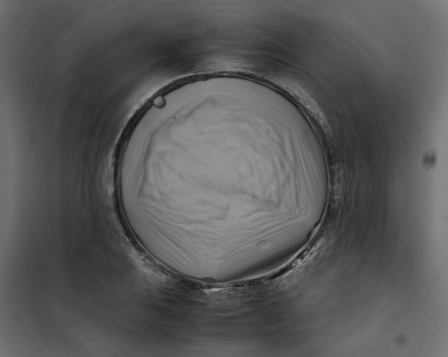 X0000102011031200808081719