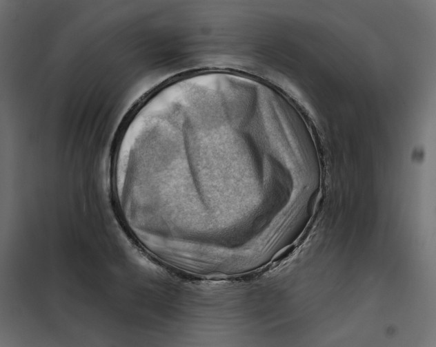 X0000102011032200808081719