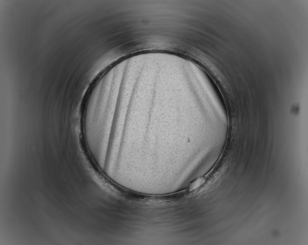 X0000102011034200808081719