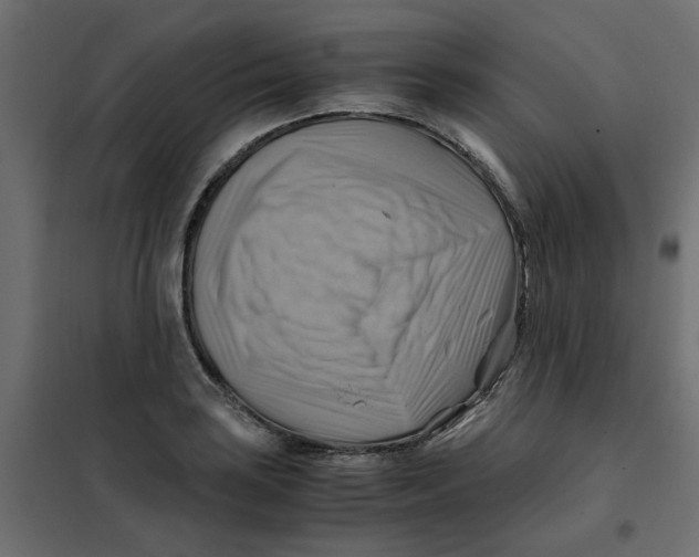 X0000102011035200808081719