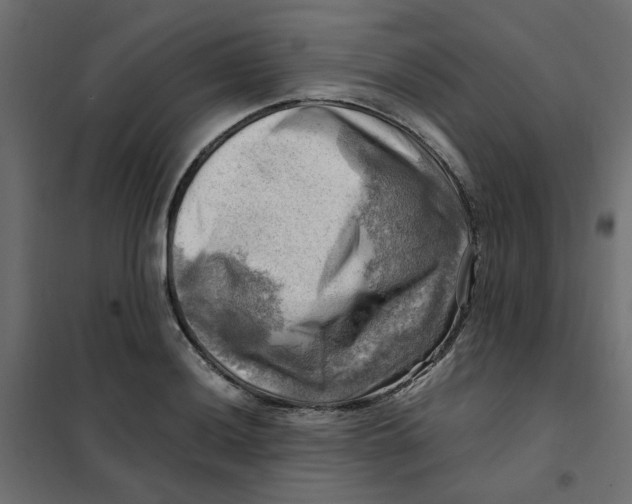 X0000102011036200808081719