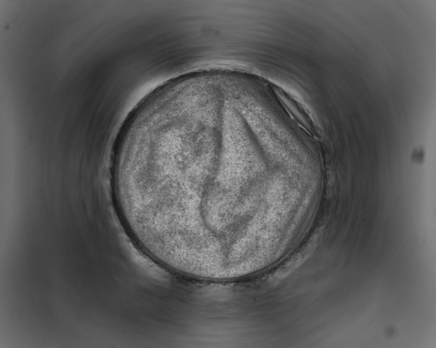 X0000102011038200808081719