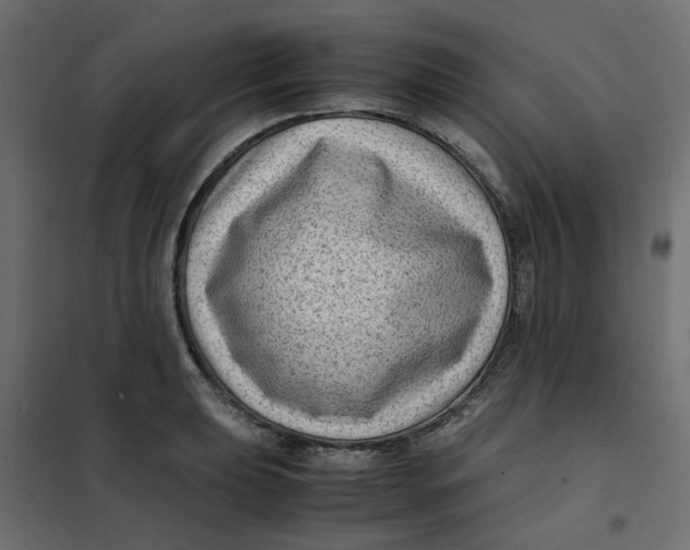 X0000102011039200808081719