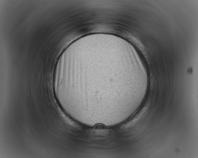 X0000102011041200808081719