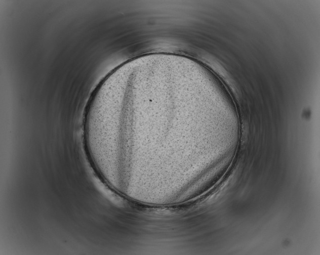 X0000102011042200808081719