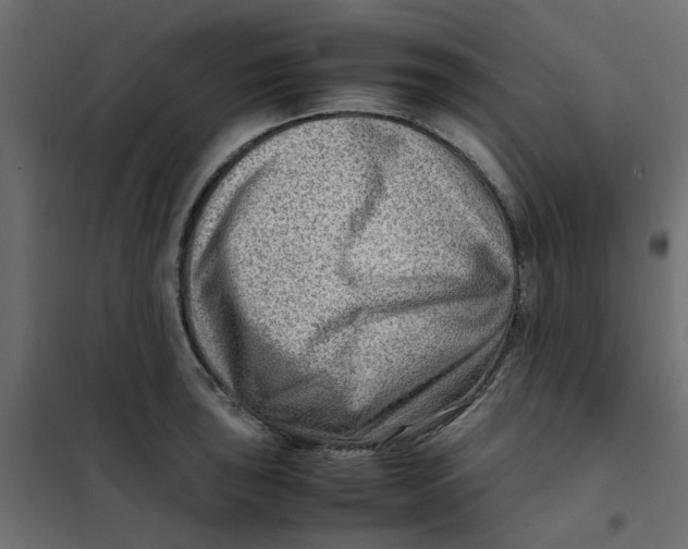 X0000102011043200808081719