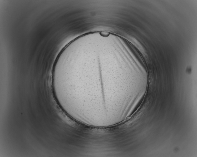 X0000102011044200808081719