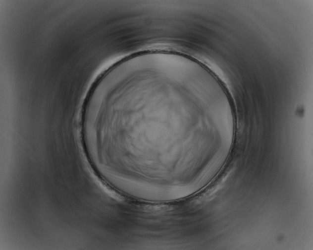 X0000102011045200808081719