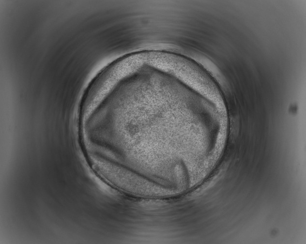 X0000102011046200808081719