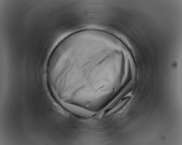 X0000102011048200808081720