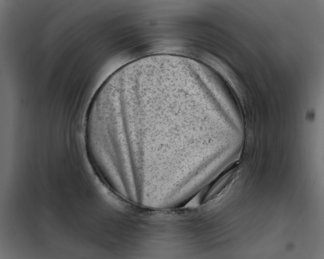 X0000102011050200808081720