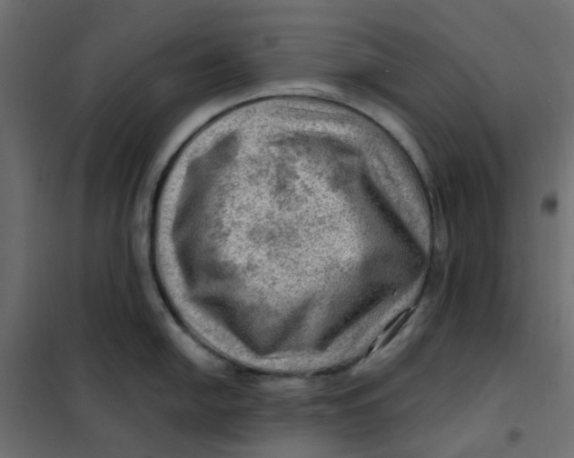 X0000102011054200808081720