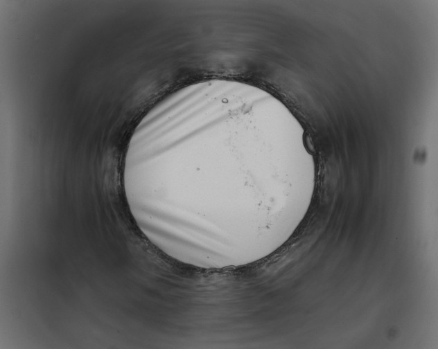 X0000102011058200808081719