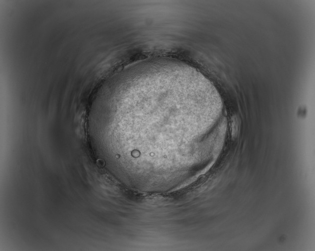 X0000102011059200808081719