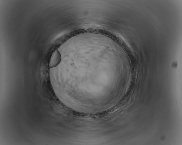 X0000102011063200808081719