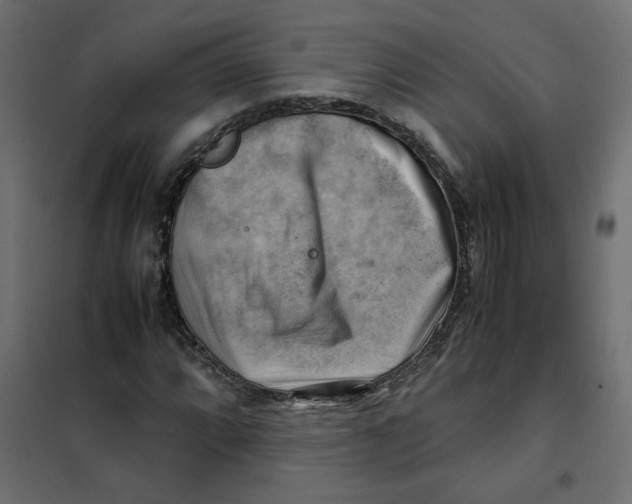 X0000102011064200808081719