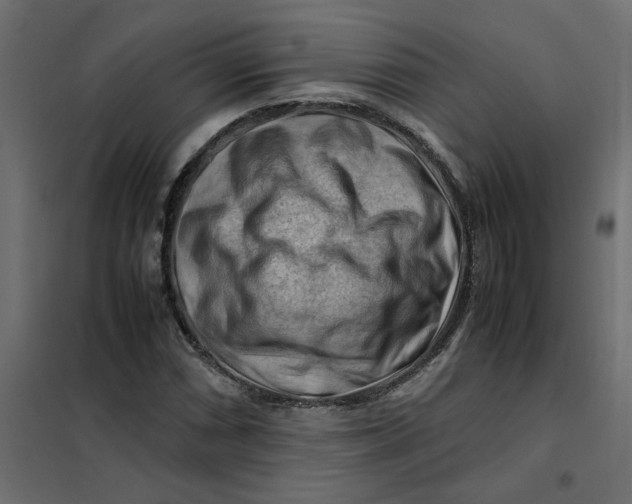 X0000102011066200808081719