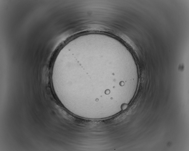 X0000102011067200808081719