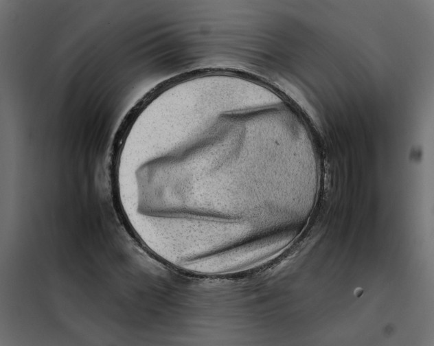 X0000102011068200808081719