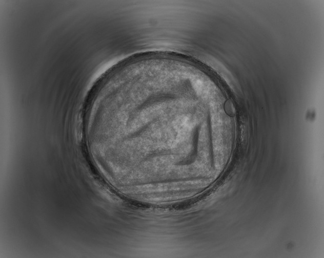 X0000102011069200808081719