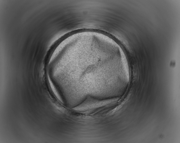 X0000102011070200808081719