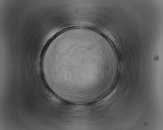 X0000102011071200808081719