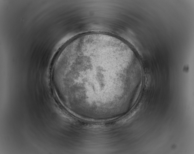 X0000102011074200808081719