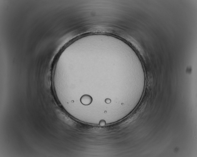 X0000102011075200808081719