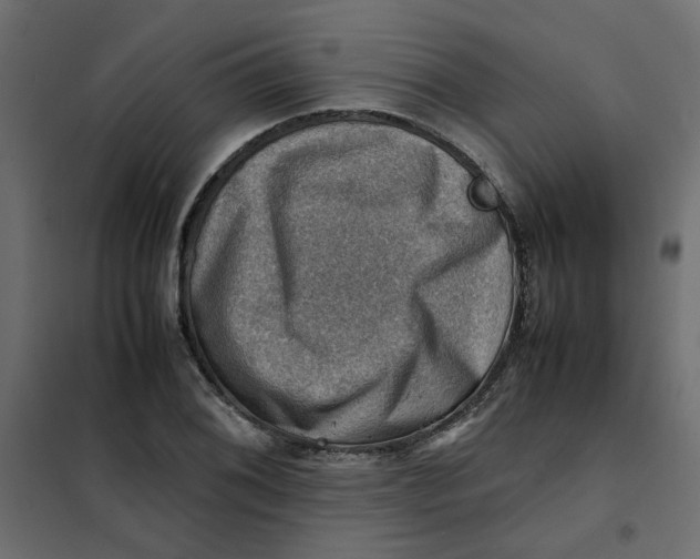 X0000102011076200808081719