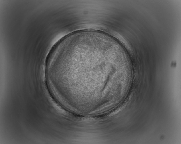 X0000102011079200808081719