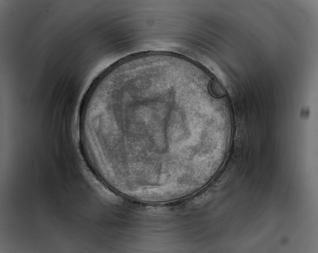 X0000102011080200808081719