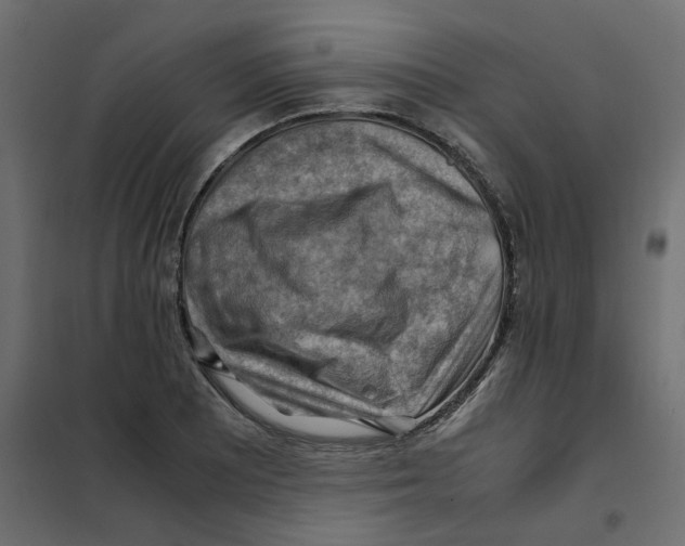 X0000102011081200808081719