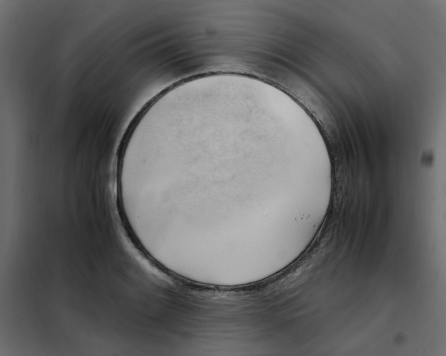 X0000102011084200808081718