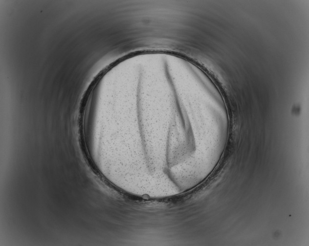 X0000102011085200808081718